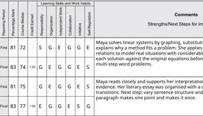 A report card on the school’s own form, with the marks, learning skills and comment for each course.