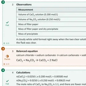 A chemistry lab report marked by Margin: the observations table and the balanced equation, each with its mark